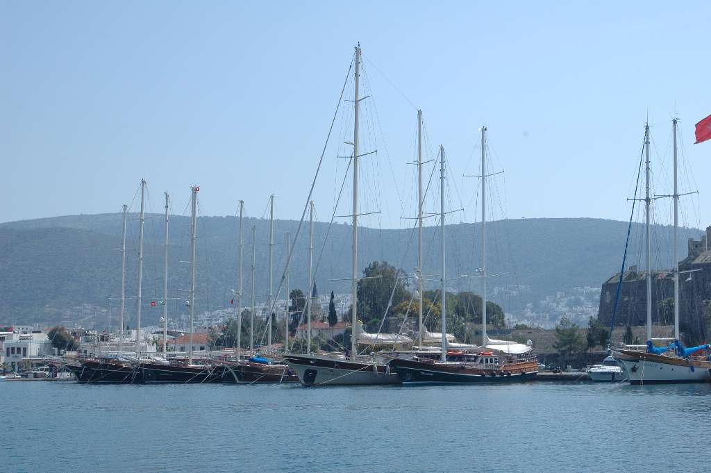 4. Dönem Eğitimimiz