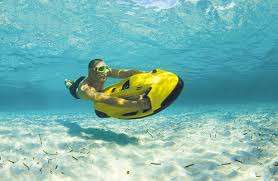 SeaBob